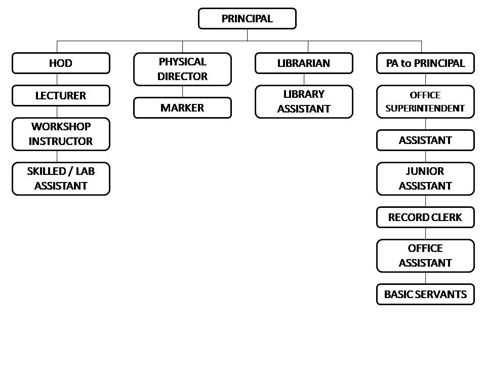 org_chart_and_process